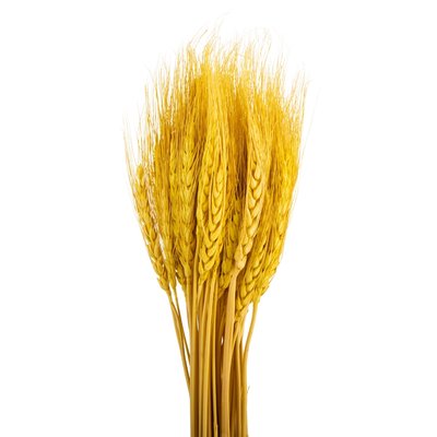 Букет із сухоцвітів "Пшениця", жовта, 60 см 9072-002 фото
