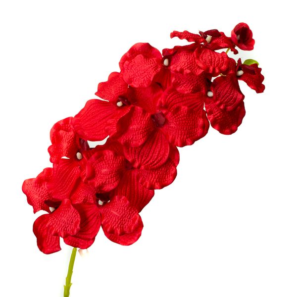 Орхідея онцидиум, червона 8701-034 фото