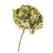 Квітка штучна "Гортензія", салатова 2002-001/GREEN фото 1