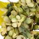 Квітка штучна "Гортензія", салатова 2002-001/GREEN фото 2