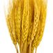 Букет із сухоцвітів "Пшениця", жовта, 60 см 9072-002 фото 2