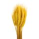 Букет із сухоцвітів "Пшениця", жовта, 60 см 9072-002 фото 1