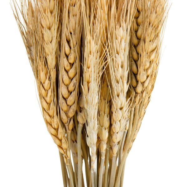 Букет із сухоцвітів "Пшениця", бежева, 60 см 9072-003 фото