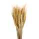 Букет із сухоцвітів "Пшениця", бежева, 60 см 9072-003 фото 1