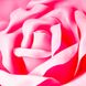 Квітка для фотозони рожева (середній) 0384JA-В фото 3
