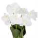 Букет орхідей 33 см, білий 8931-016 фото 2