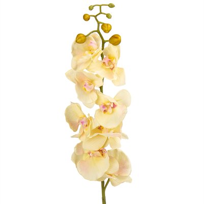 Орхидея 90 см, силикон 034F/cream фото