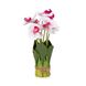 Букет орхідей 33 см, біло-рожевий 8931-017 фото 1