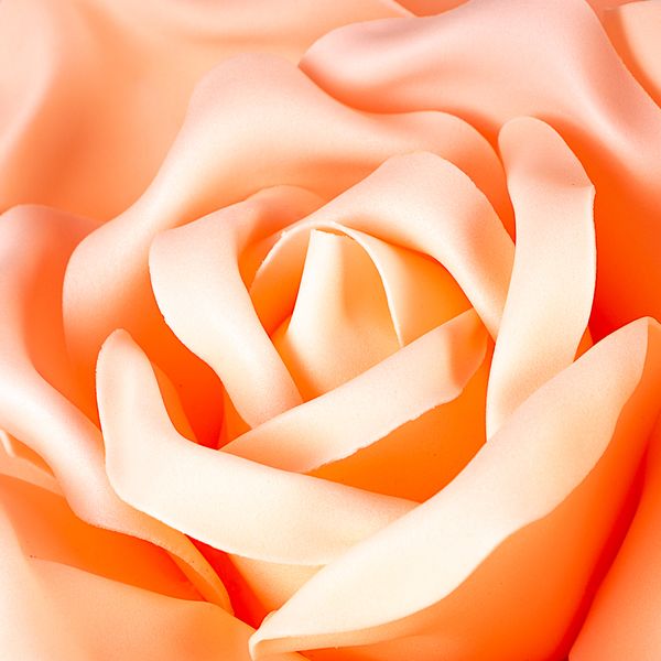 Квітка для фотозони персикова (середній) 0385JA-В фото