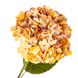 Квітка штучна "Гортензія", помаранчева 8100-032 фото 2