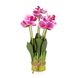 Букет орхідей 33 см, рожевий 8931-018 фото 1