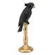 Статуетка "Папуга Блек", 31 см. чорна 2014-010 фото 2