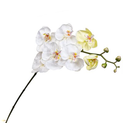 Орхідея біла 137 см 2000-041WT фото