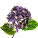Квітка штучна "Гортензія Papillon", синя 8100-036 фото 2