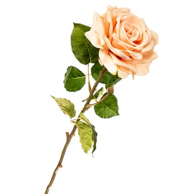 Цветок искусственный "Роза садовая коралловая" 2000-029PH фото