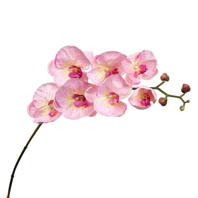 Орхідея ніжно рожева 137 см 2000-043PK фото