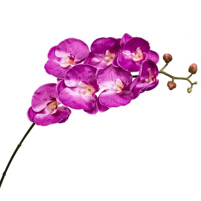 Орхідея малинова 137 см 2000-044PL фото