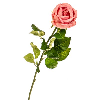 Квітка штучна "Троянда персикова" 2000-032PH фото