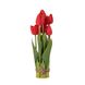 Букет тюльпанів 32 см, червоний 8931-022 фото 1