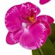 Букет орхідей, рожевий, 26 см 8921-030 фото 2