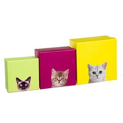 Набір коробок «Котячий дім» 3шт 8427-006 фото