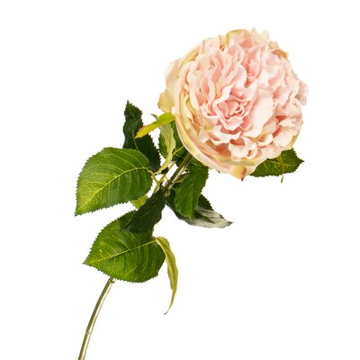 Квітка штучна "Троянда оксамитова ніжно-рожева" 2000-034PK фото