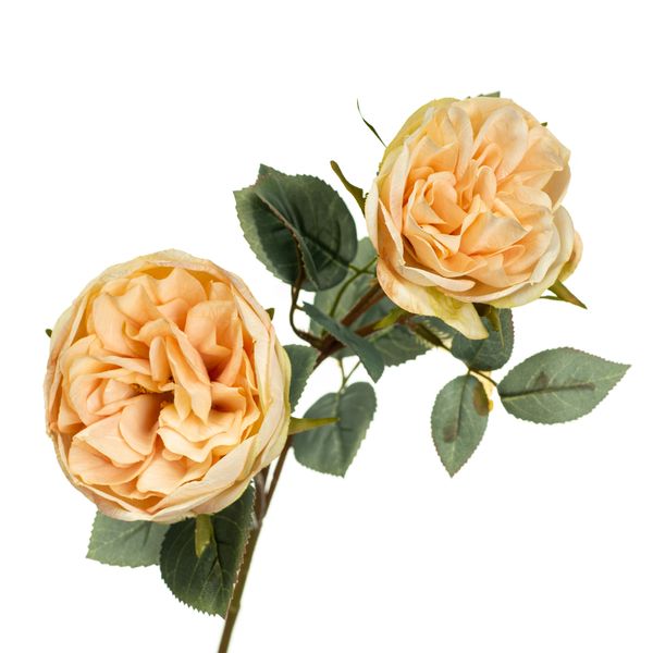 Ветка розы, кремовая 8721-024/cream фото