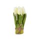 Букет тюльпанів 19 см, білий 8931-001 фото 1