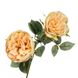 Гілка троянди, кремова 8721-024/cream фото 2