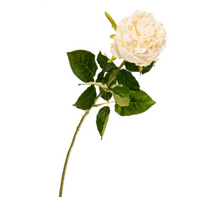 Цветок искусственный "Роза бархатная белоснежная" 2000-035WT фото