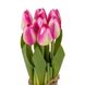 Букет тюльпанів 19 см, рожевий 8931-002 фото 2