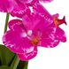 Букет орхідей, рожевий, 34 см 8921-033 фото 2