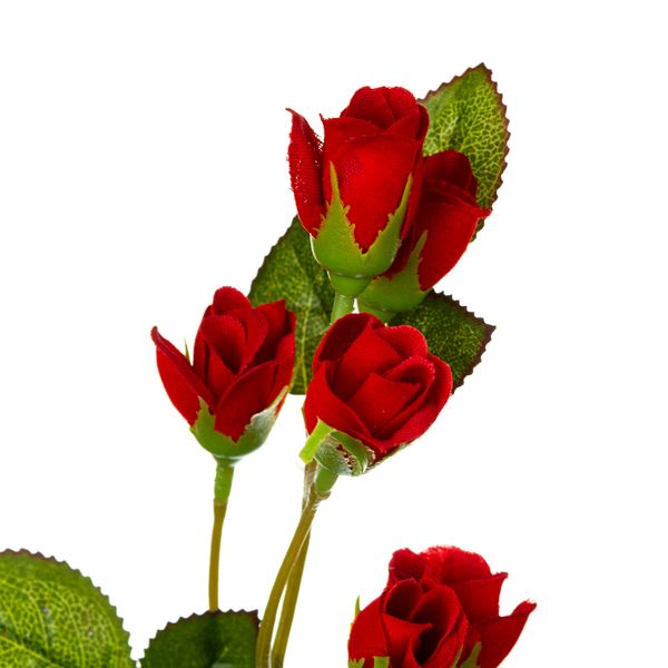 Гілочка троянди 8717-031 фото