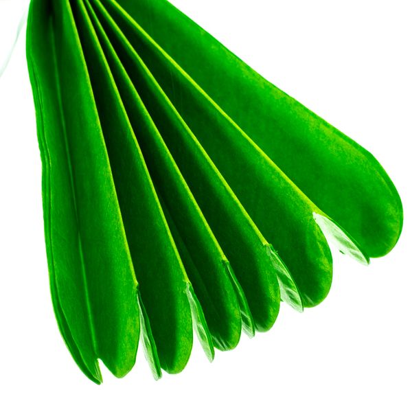 Паперовий пом-пон, зелений 25 см. 8705-011 фото