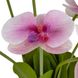 Букет орхідей, світло-бузковий, 34 см 8921-034 фото 2