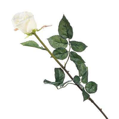 Троянда кремова, 77 см, силікон 008F/cream фото