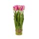 Букет тюльпанів 29 см, рожевий 8931-005 фото 1