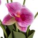 Букет орхідей, рожевий, 33 см 8921-035 фото 2