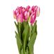 Букет тюльпанів 29 см, рожевий 8931-005 фото 2