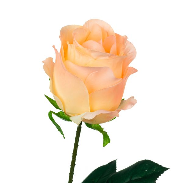 Роза, розовая, 69 см 8717-033 фото