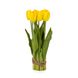 Букет тюльпанів 29 см, жовтий 8931-006 фото 1