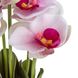 Букет орхідей, біло-рожевий, 33 см 8921-036 фото 2
