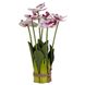Букет орхідей, біло-рожевий, 33 см 8921-036 фото 1