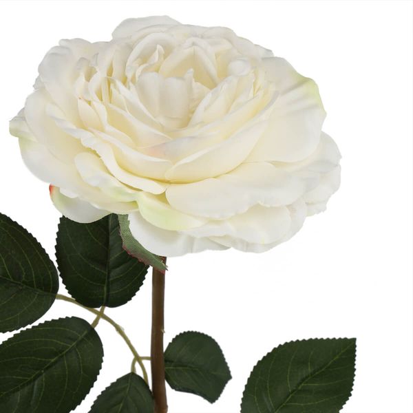 Троянда "Ніжність", біла, 75 см 6018-055 фото