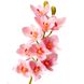 Орхідея ванда, ясно-рожева 8701-027 фото 2