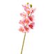 Орхідея ванда, ясно-рожева 8701-027 фото 1