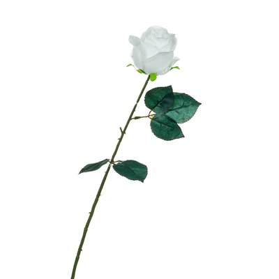 Роза, белая, 69 8717-034 фото