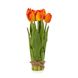 Букет тюльпанів 29 см, помаранчевий 8931-007 фото 1