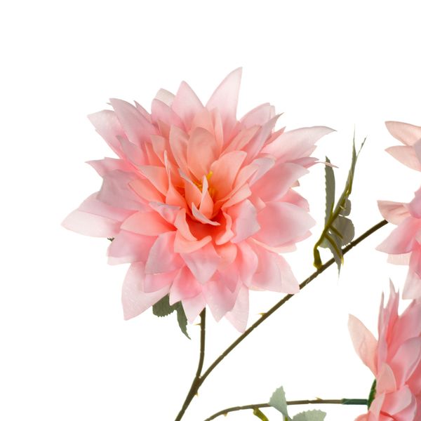 Хризантема, рожева 8725-045 фото