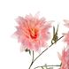 Хризантема, рожева 8725-045 фото 2
